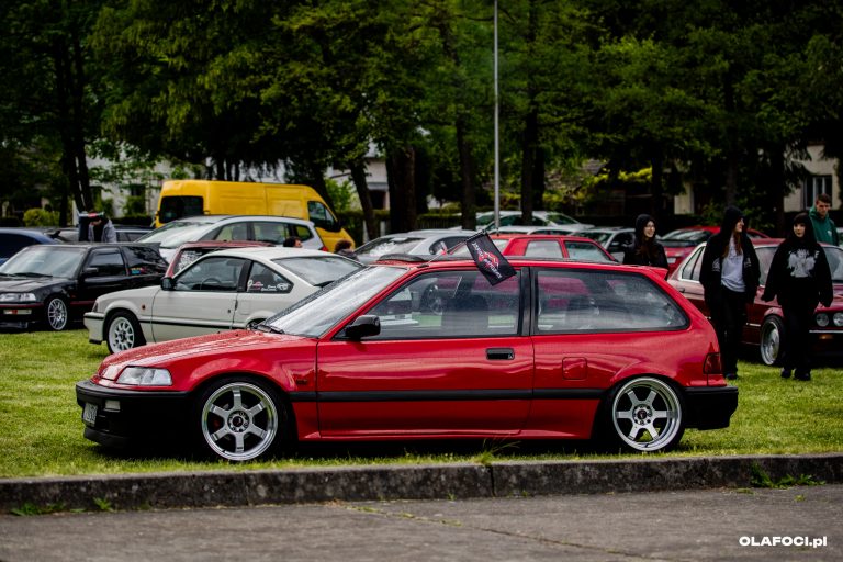 IMG 1699 768x512